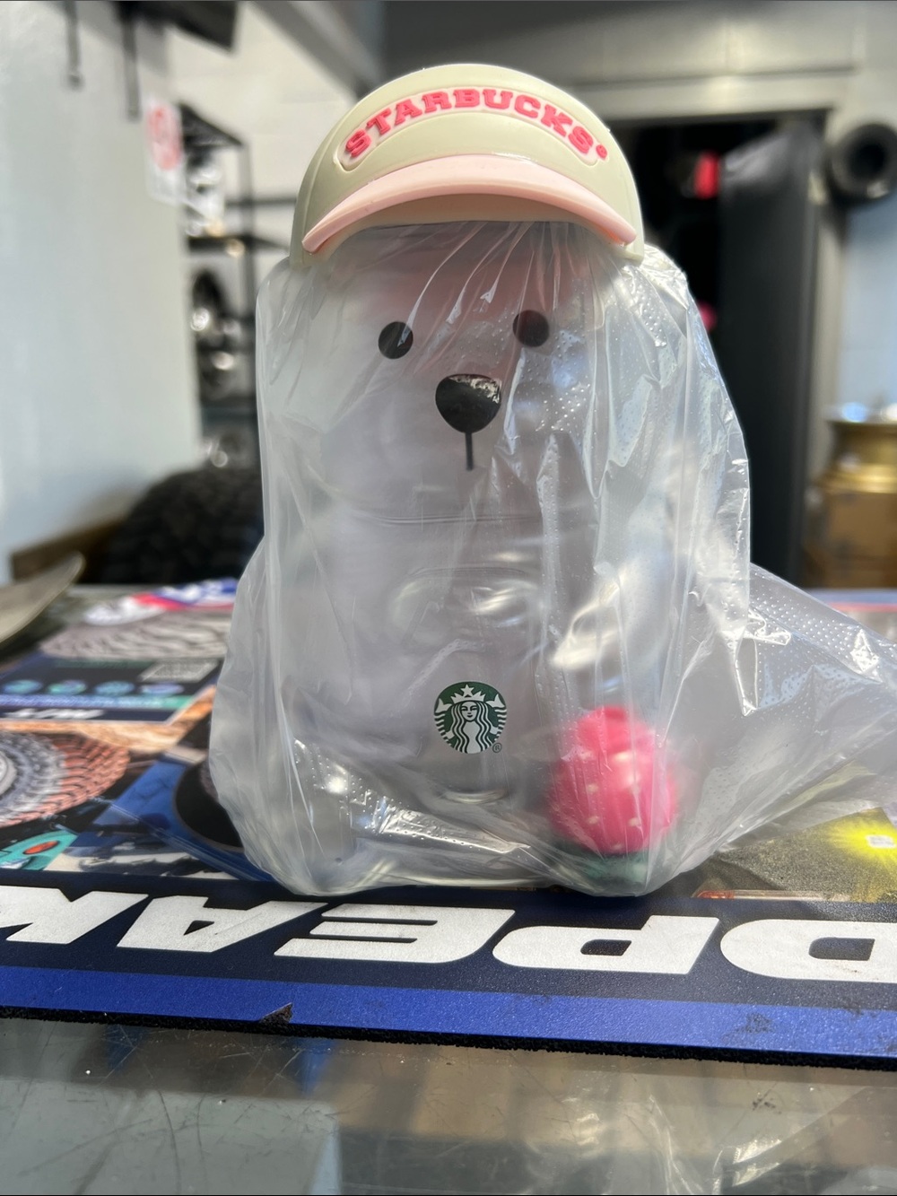 Starbucks White Bear Coin Bank with Pink Cap and Pink Accent